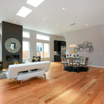 Brand New Contemporary Home in Millbrae
