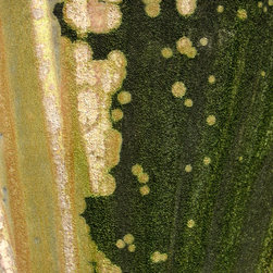 Jar 003 Detail - Artwork
