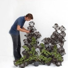 Vegetation Compliments