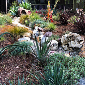 Colorful Watershed Front Landscape