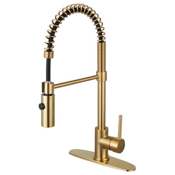 LS8773DL Concord Single-Handle Pre-Rinse Kitchen Faucet, Brushed Brass
