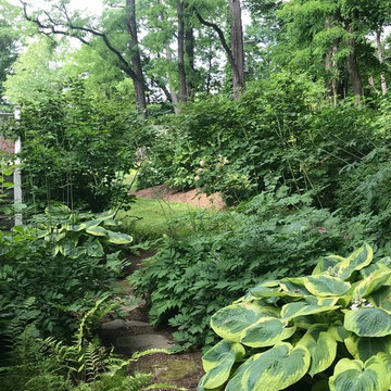 Schattiger Garten