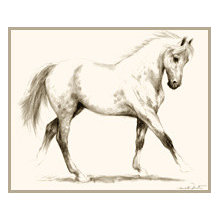 horse
