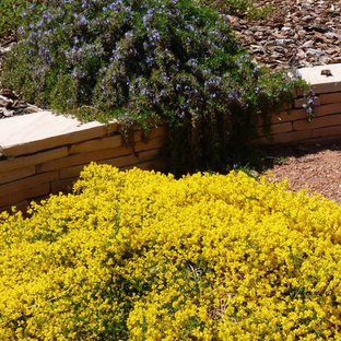Eklektischer Garten in Albuquerque