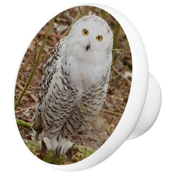 Snow Owl Ceramic Cabinet Drawer Knob