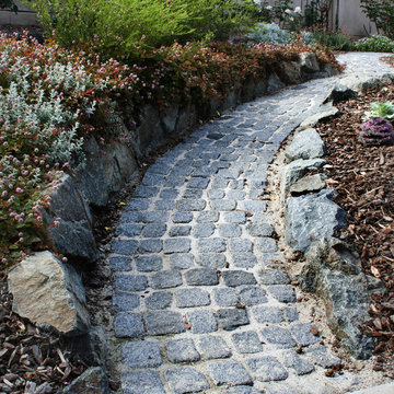 Tropical lawn replacement