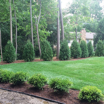Lawn Care