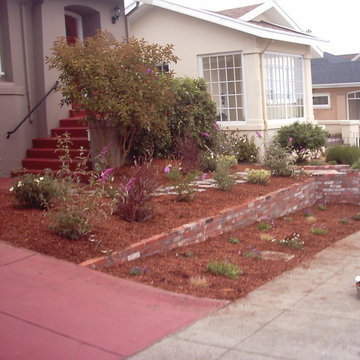 New Drip System, Planting and Mulch in San Francisco
