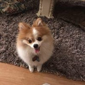 Lydia Kang's photo