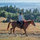 jaimi_warford