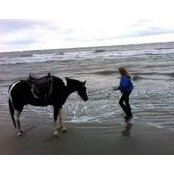 Michele Worth's photo