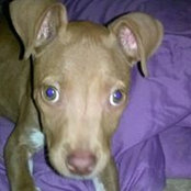 Foto von Ebony Lofton
