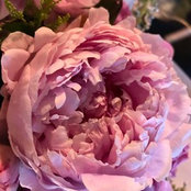 Loreen Moore's photo