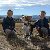 Stephanie Scaffidi's photo