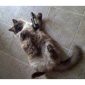 Peter Djordjevich's photo