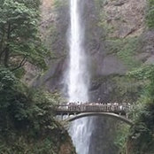 Angie Brown Schubert's photo