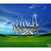 Zainab Mouhamad's photo