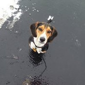 Anne Johns's photo
