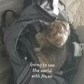 Minerva Camacho's photo