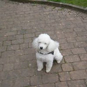 Theresa-Maria Mensch's photo