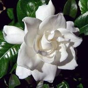 Foto von Marilyn Brown