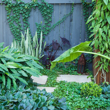 Designedly Drummoyne