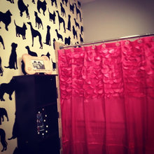 My rooms!