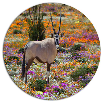 Beautiful Oryx In Flower Field, African Disc Metal Artwork, 11"