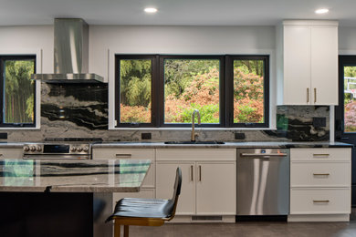 Inspiration for a modern kitchen remodel in Baltimore