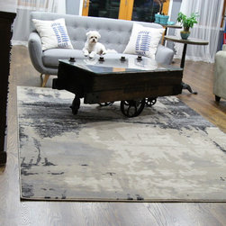 Contemporary Area Rugs - Area Rugs