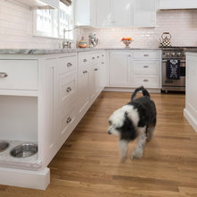 dog bowl