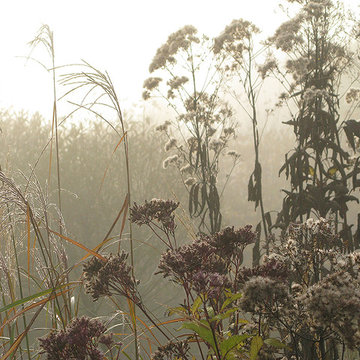 Breath of wind
