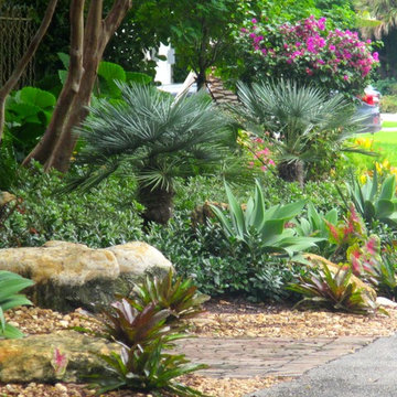 Tropical Garden Design