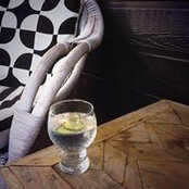 Kate Beddoes foto