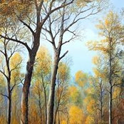 Heba Hoballah's photo