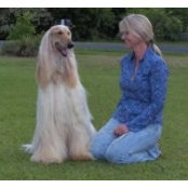 Amy Wendling's photo