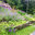 Ogrodnik Landscape Design