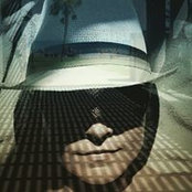 Fiona Carney's photo