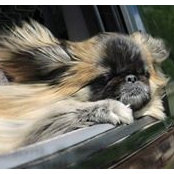 Loretta Verbout's photo