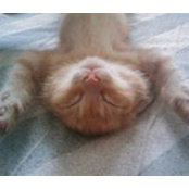 Dawei Ouyang's photo