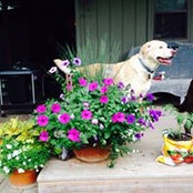 Bev Serven's photo