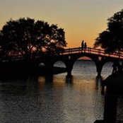 Lana Kramer's photo