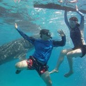Mike Lim's photo