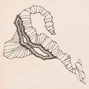 Photo de Facundo Lopez