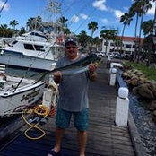 Ray Fedor's photo