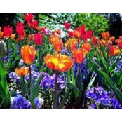 Jenny Murdock's photo