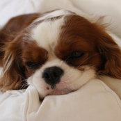 Liz Macnab's photo