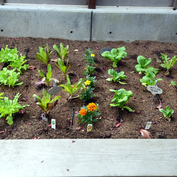 2016 Gamble Garden Tour
