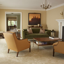 Living Room Ideas
