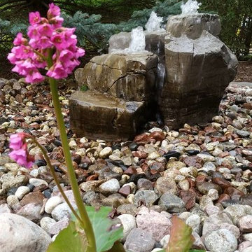 Buena Vista Rd Bubbling Rocks